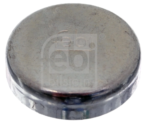 Frost Plug